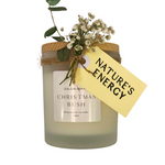 Christmas Bush Candle - Large